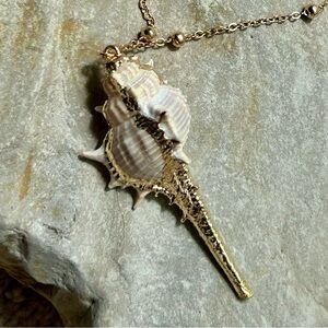 Conch Shell Pendant Necklace